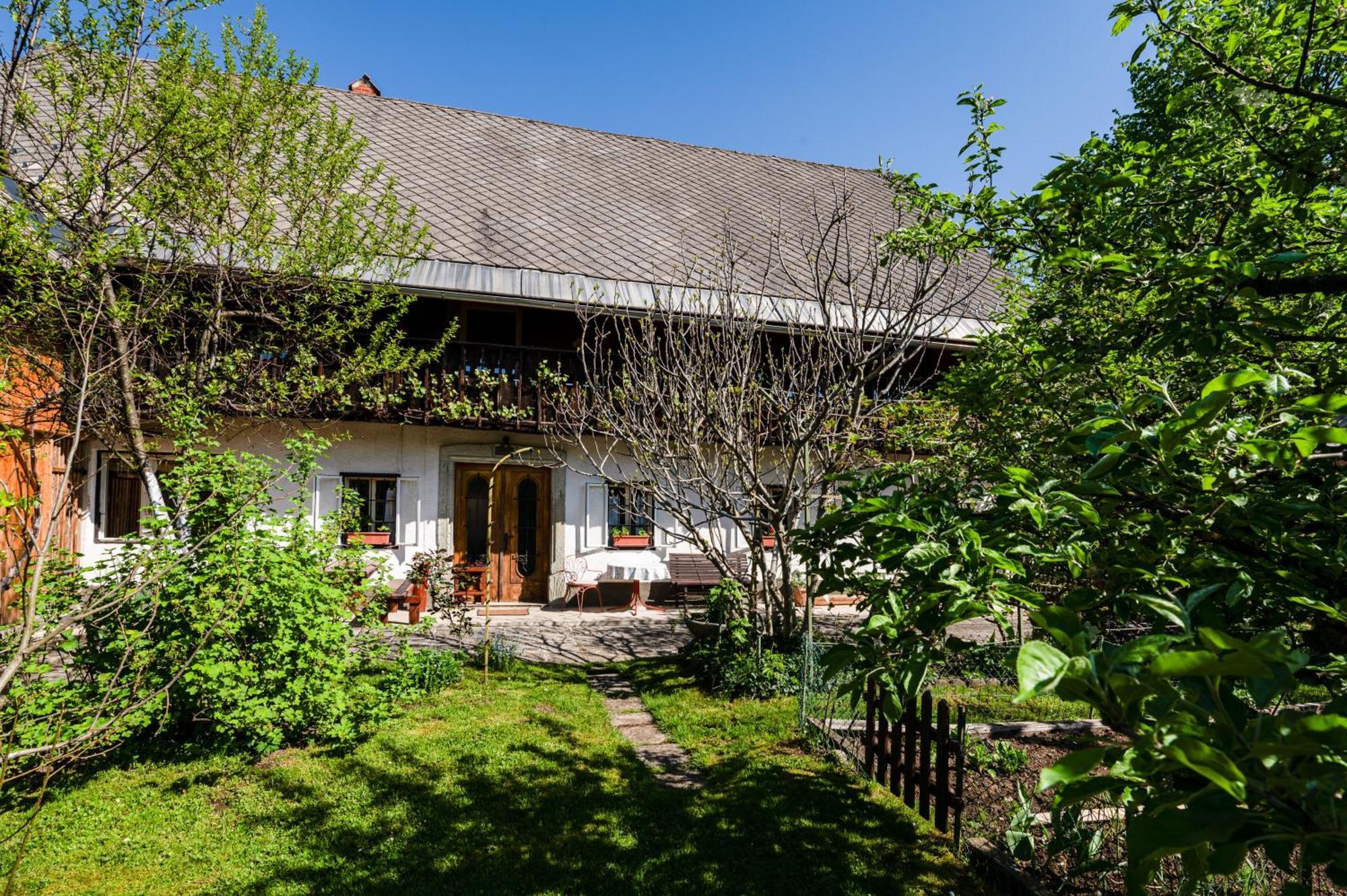 House, Garden And A Green Cat Μπλεντ Εξωτερικό φωτογραφία