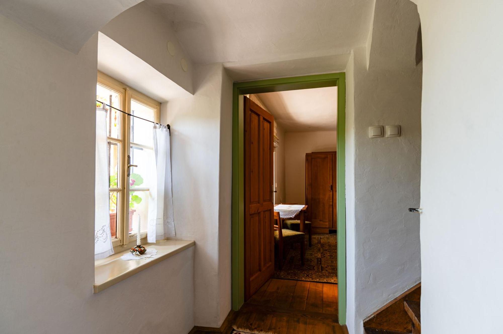 House, Garden And A Green Cat Μπλεντ Εξωτερικό φωτογραφία