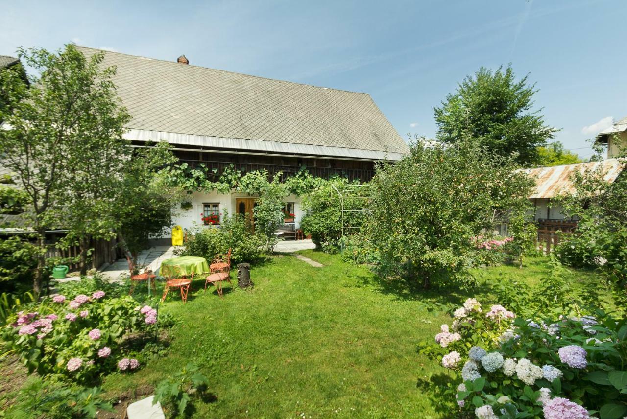 House, Garden And A Green Cat Μπλεντ Εξωτερικό φωτογραφία
