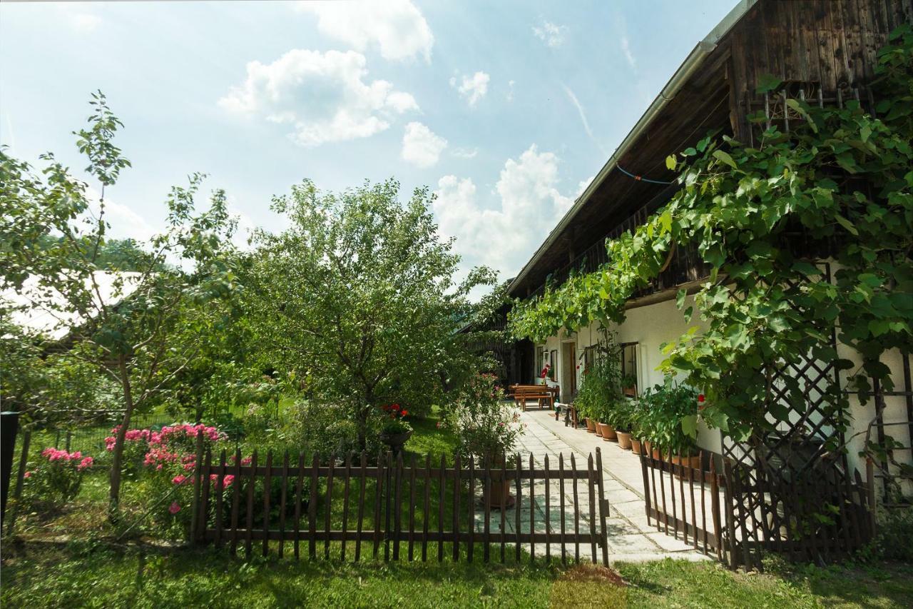 House, Garden And A Green Cat Μπλεντ Εξωτερικό φωτογραφία
